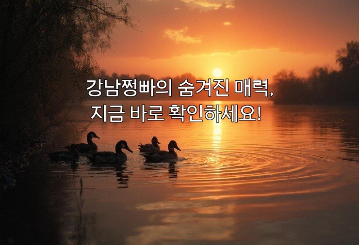 강남쩡빠의 숨겨진 매력, 지금 바로 확인하세요!