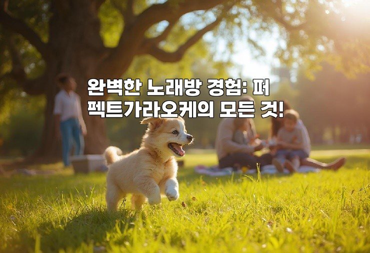 완벽한 노래방 경험: 퍼펙트가라오케의 모든 것!