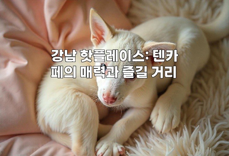 강남 핫플레이스: 텐카페의 매력과 즐길 거리