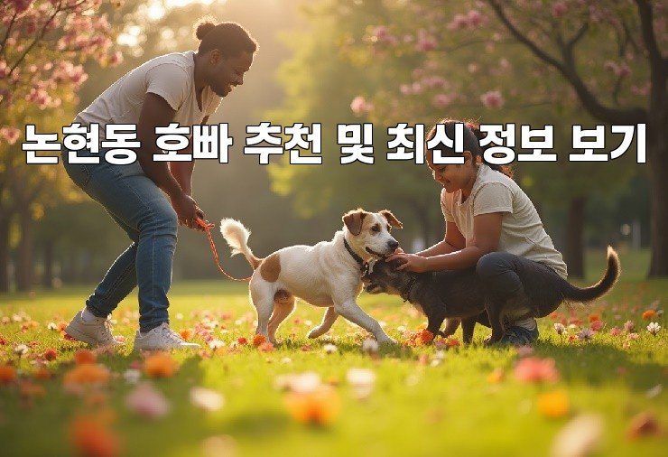 논현동 호빠 추천 및 최신 정보 보기