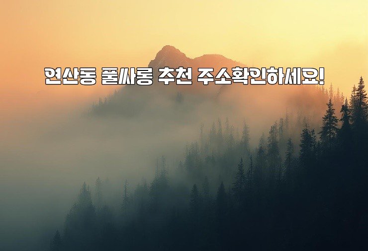 연산동 풀싸롱 추천 주소확인하세요!